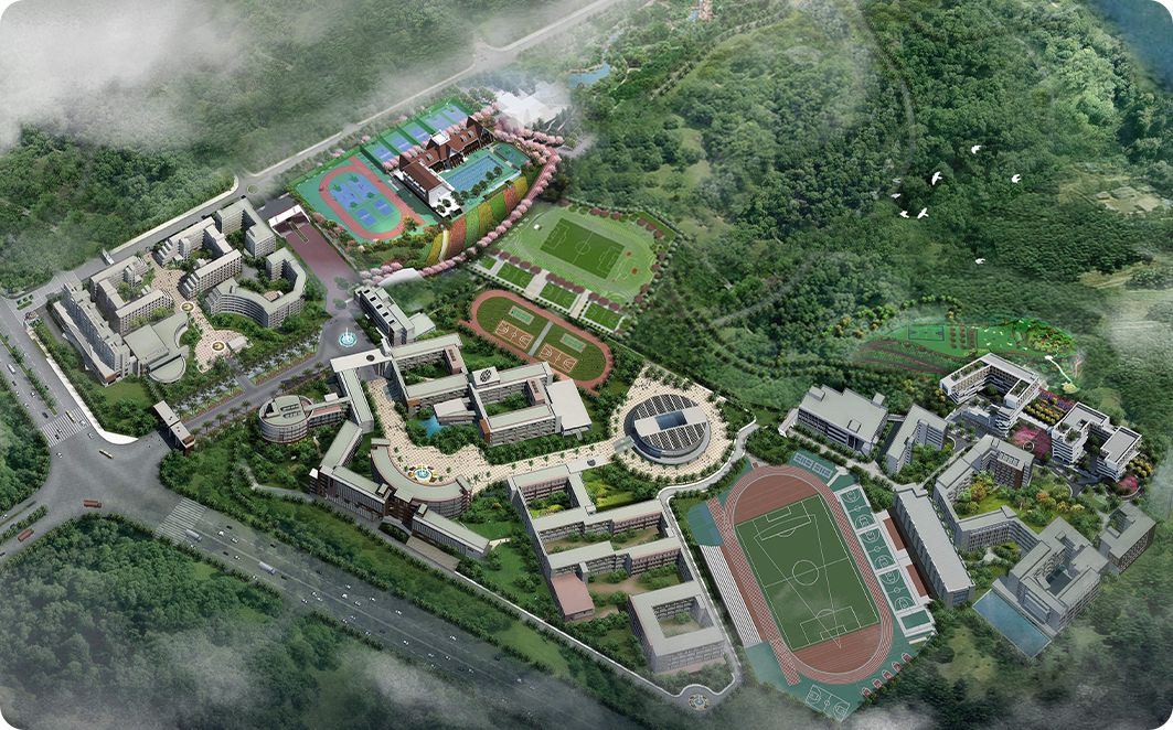 深圳市桃源居中澳实验学校